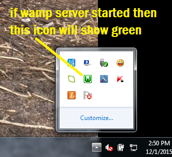 check wamp server is running or not